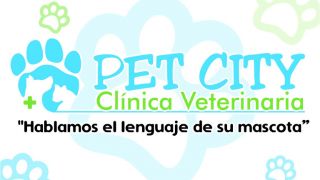 cursos veterinaria cartagena clinica veterinaria pet city