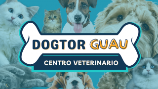 veterinario gratis cartagena Dogtor Guau Cartagena Centro Veterinario