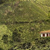 Disfruta de la cultura cafetera en Aguadas