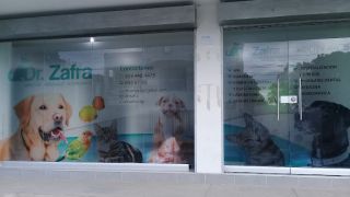 veterinario barato cartagena Dr.zafra Servicios Integrales Veterinarios