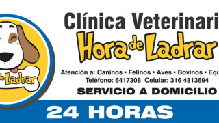 clinicas perros cartagena Clínica Veterinaria Hora de Ladrar