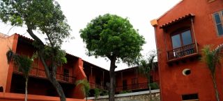 termitas cartagena Casa Del Marqués De Valdehoyos