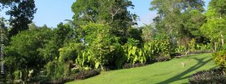 garden at cartagena Cartagena Botanical Garden 