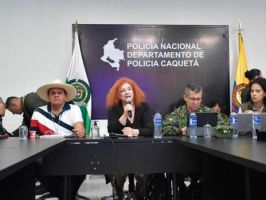 Lilia Solano, viceministra del diálogo social, la igualdad y los derechos humanos, durante el consejo de seguridad. // Colprensa