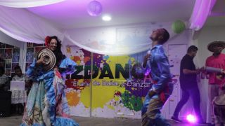 cursos de pole dance en cartagena ACADEMIA LIZ DANCE ARTS
