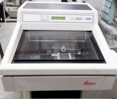 analisis intolerancia alimentaria cartagena Immunopathological Laboratory of the Coast