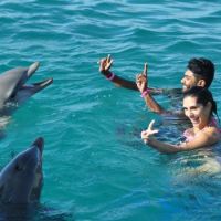 parques para hacer picnic en cartagena Parque De La Marina